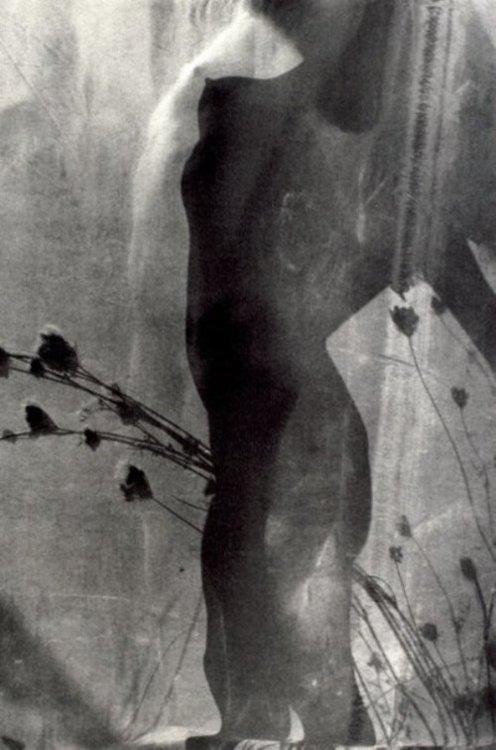 Lucien Clergue - Coco au grand herbier, 1975